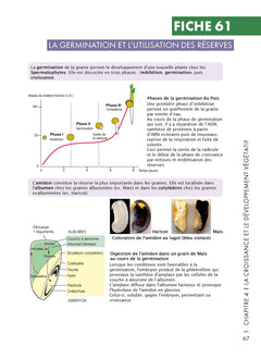 Mémo visuel de biologie végétale - 2e éd.