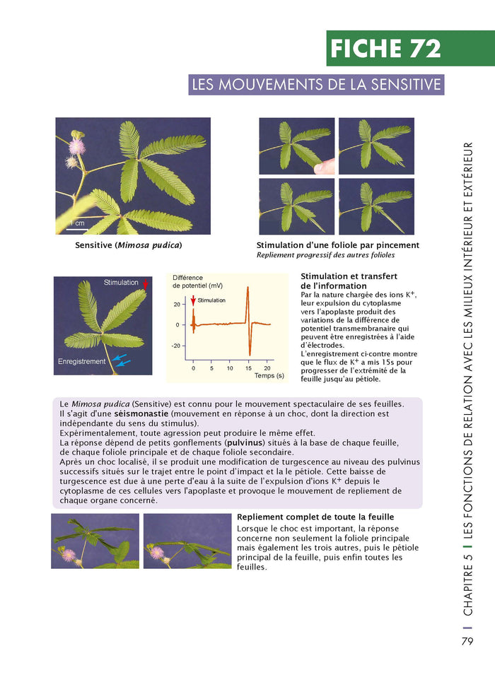 Mémo visuel de biologie végétale - 2e éd.