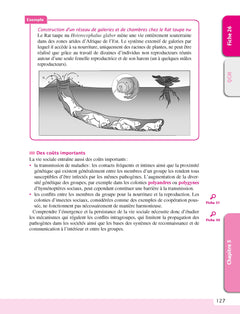 Le cours d'écologie