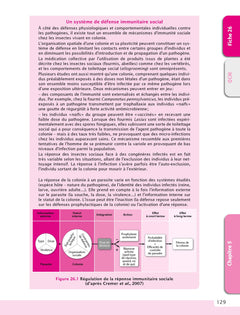 Le cours d'écologie