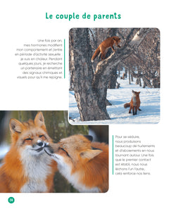 Vis ma vie de renard
