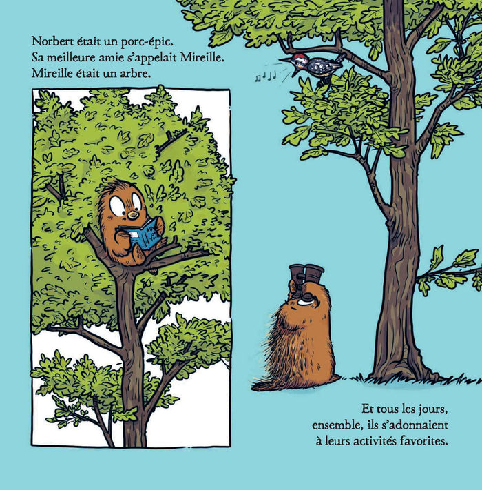 L'aventure de Norbert et Mireille tout seul