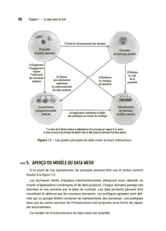 Data mesh