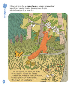 L'écureuil