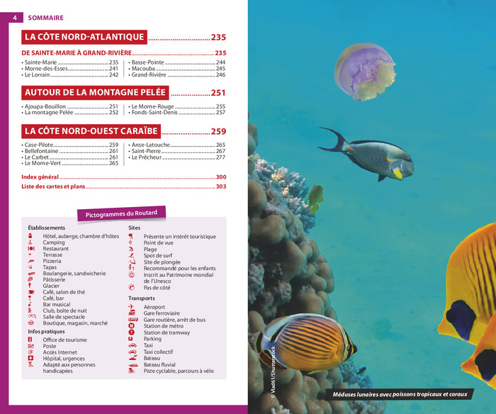 Guide du Routard Martinique 2026/27