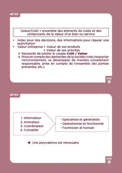 DCG 11 - Contrôle de gestion - révisez en 160 flashcards !