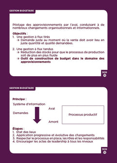 DCG 11 - Contrôle de gestion - révisez en 160 flashcards !