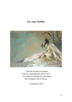 Équilibres
