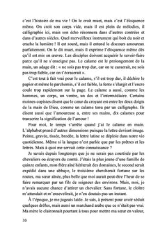 Richilde, Comtesse de Hainaut et de Flandre, l'amazone de la Haine