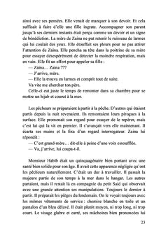 Les émergés des îles