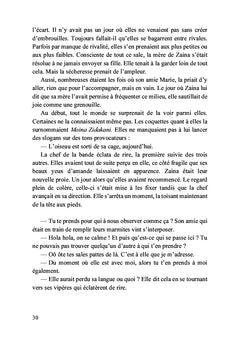 Les émergés des îles