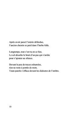 Terre d'ombre