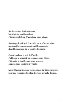 Terre d'ombre