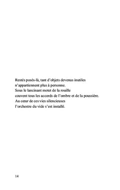 Terre d'ombre