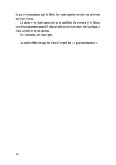 Les hussards de l'extrême