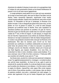 Les jeunes pousses d'été