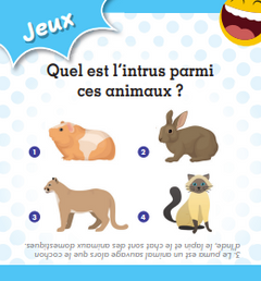 Apéro défis et rires en famille