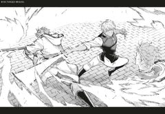 Beryl : de paysan à maître d'armes T02