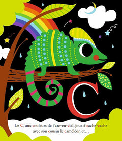 Mon premier ABCdaire