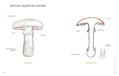 Grimoire d'une cueilleuse de champignons
