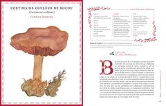 Grimoire d'une cueilleuse de champignons