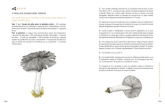 Grimoire d'une cueilleuse de champignons