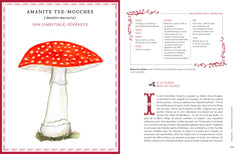 Grimoire d'une cueilleuse de champignons