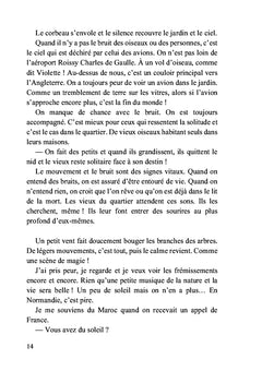 Deux chats et des hommes