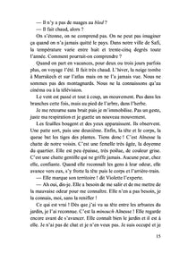 Deux chats et des hommes