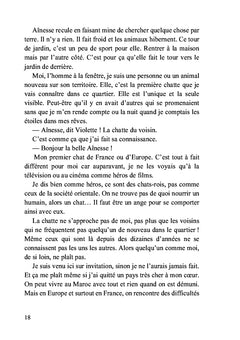 Deux chats et des hommes
