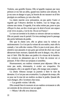 Deux chats et des hommes