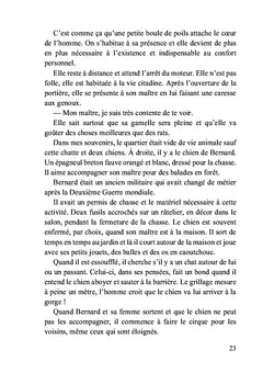 Deux chats et des hommes