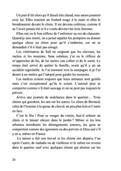 Deux chats et des hommes