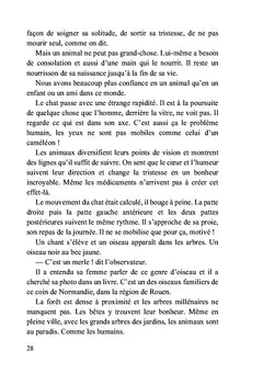 Deux chats et des hommes