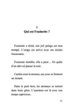 Fouinette et le moulin