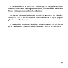 Les traînes neigeuses