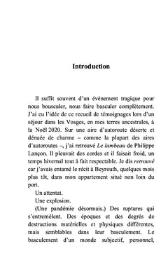 Recueil de témoignages de la jeunesse libanaise