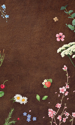 Mon grimoire des 4 saisons - Rituels et recettes pour se connecter à soi et à la nature