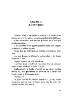 Le bijou d'histoire