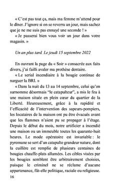 Le serial incendiaire