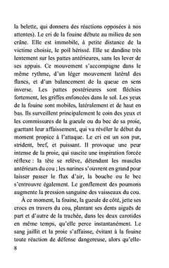 Le fer à repasser