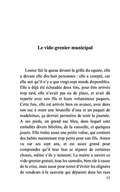 Le fer à repasser