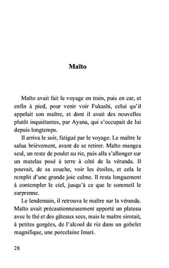 Le fer à repasser