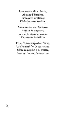 Coffret d'exquis mots