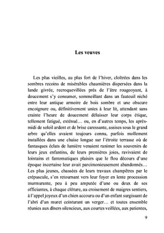 Aux ténèbres des veuves