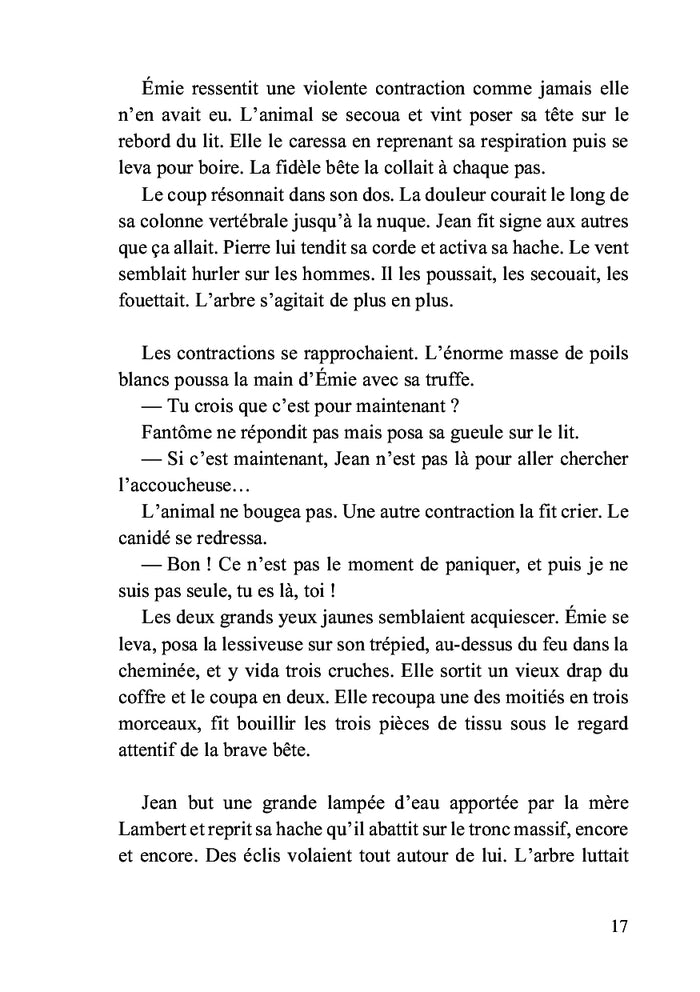 Le souffle de la salamandre