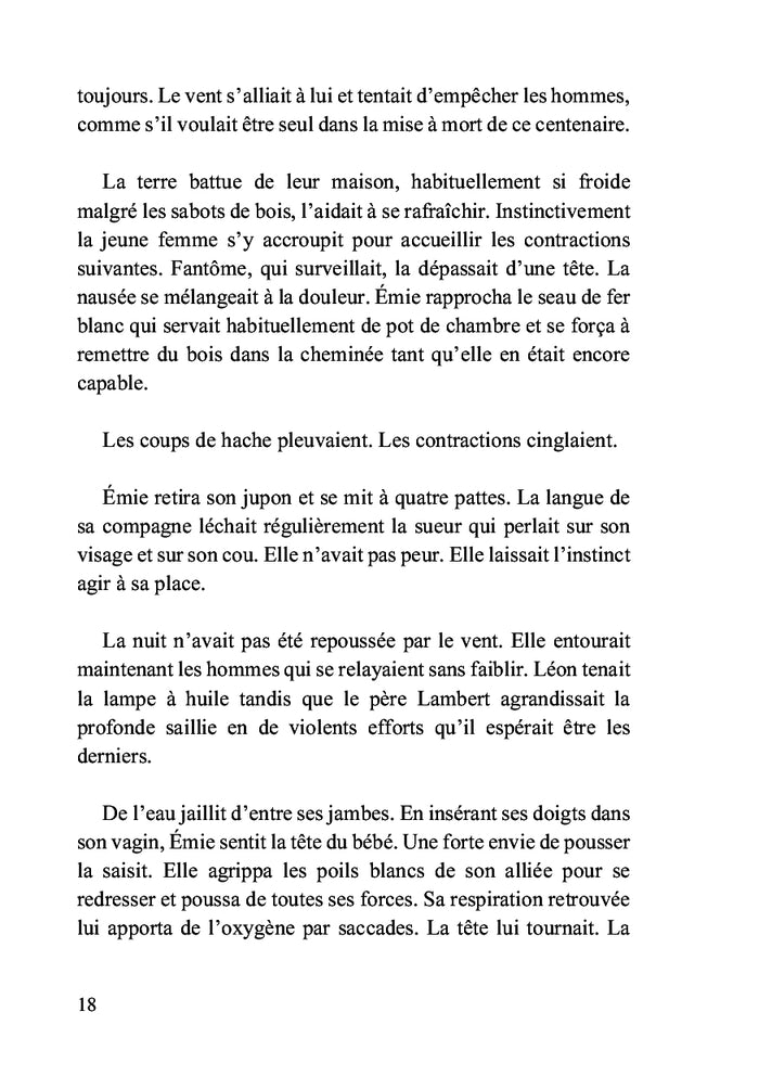 Le souffle de la salamandre