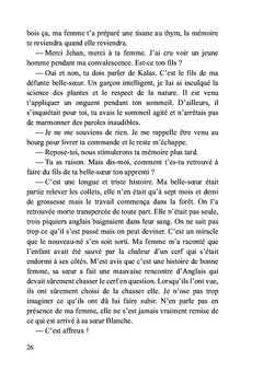 Le temps des ombres:La légende de la guerre de Cent Ans