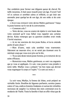 Le temps des ombres:La légende de la guerre de Cent Ans