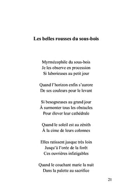 Au crépuscule de l'âme